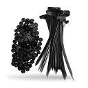 SpookyCarts image
